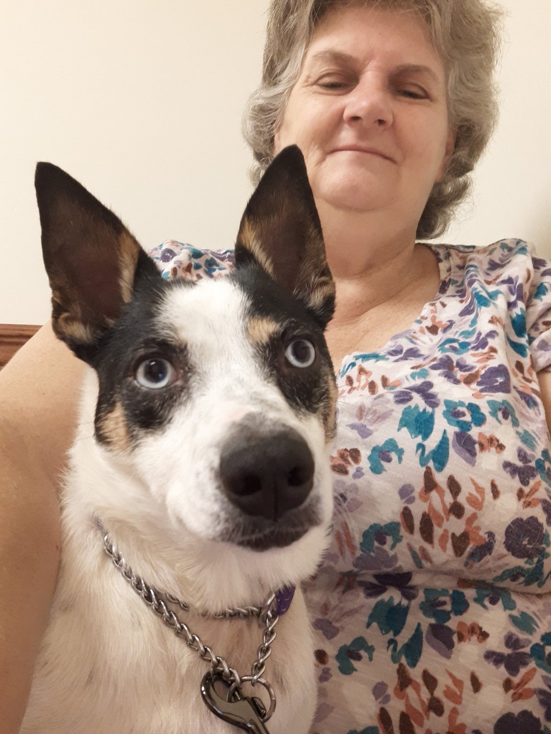 Sharon O'Brien poses with Lily, a 4-year-old rat terrier and cattle dog. Lily is a Hurricane Ida survivor. She would not be comfortable with cats or children and is dog selective.